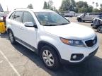 KIA - SORENTO