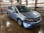 HONDA - ODYSSEY