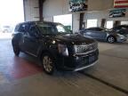 KIA - TELLURIDE