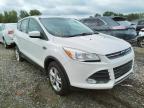 FORD - ESCAPE