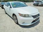 LEXUS - ES350