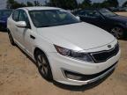 KIA - OPTIMA