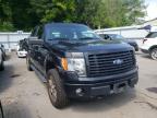FORD - F-150
