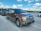 FORD - F-150