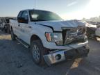 FORD - F-150