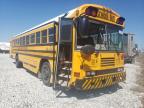 usados BLUEBIRD SCHOOL BUS