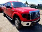 FORD - F-150