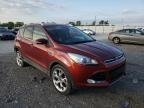 FORD - ESCAPE