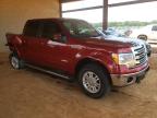 FORD - F-150
