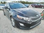 KIA - OPTIMA