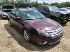 FORD - FUSION