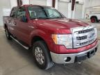 FORD - F-150