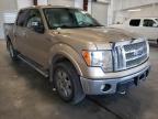 FORD - F-150