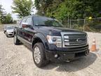 FORD - F-150