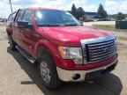 FORD - F-150