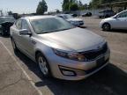 KIA - OPTIMA