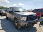 FORD - F-150