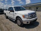 FORD - F-150