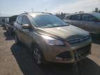 FORD - ESCAPE