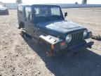 JEEP - WRANGLER