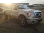 FORD - F-150