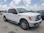 FORD - F-150