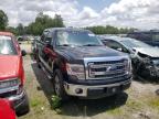 FORD - F-150