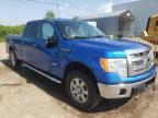 FORD - F-150