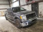 FORD - F-150