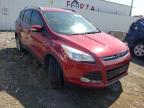 FORD - ESCAPE