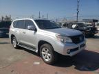 LEXUS - GX