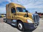 FREIGHTLINER - CASCADIA 1