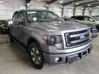 FORD - F-150