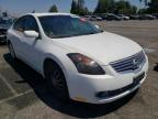 NISSAN - ALTIMA
