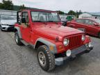 JEEP - WRANGLER