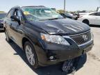 LEXUS - RX350