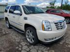 CADILLAC - ESCALADE