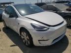 usados TESLA MODEL Y