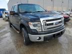 FORD - F-150