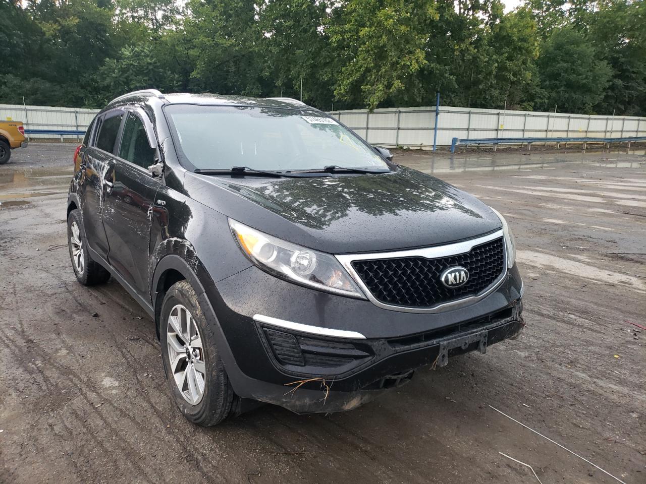 2015 KIA SPORTAGE LX VIN: KNDPBCAC1F7790766