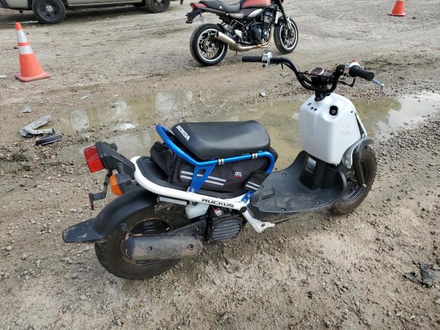 Honda Ruckus nps50