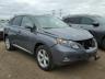 LEXUS - RX350