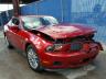 FORD - MUSTANG