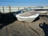 SEARAY - BOAT