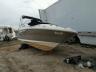 SEARAY - MARINE LOT