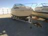 SEARAY - MARINE/TRL
