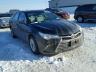 TOYOTA - CAMRY