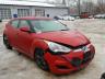 HYUNDAI - VELOSTER