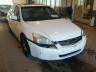 HONDA - ACCORD