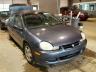 DODGE - NEON